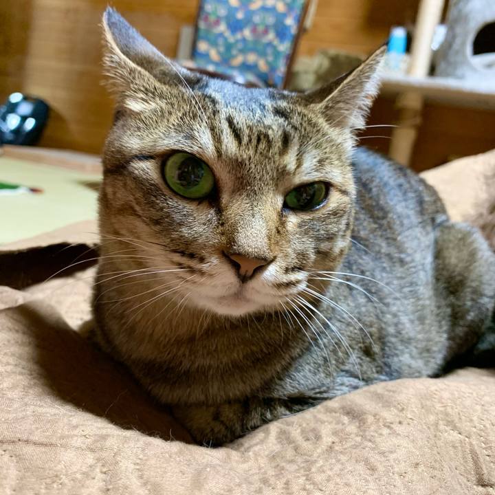 E042f35d f198 44da 9812 951ee3d4ad45 1618661593164