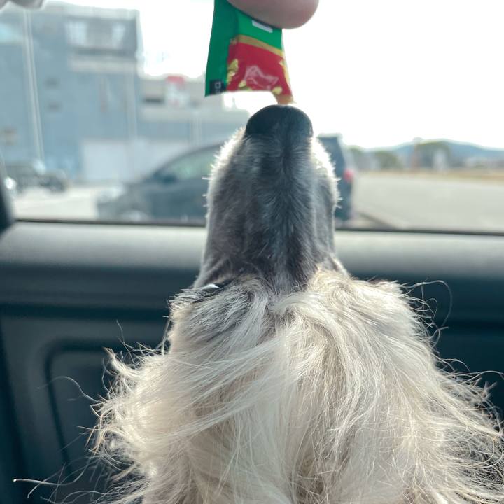 E042fe9f 71ad 4e1f abc3 f7d0d50d57f7 1772869381661