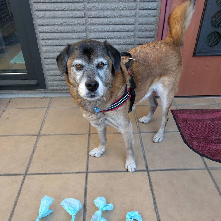 E0432a58 fbac 4efe b4f0 ffeac04711ab 1545179083727