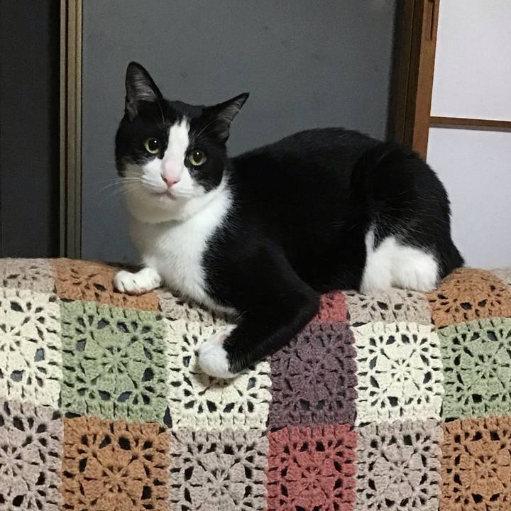 E0432fb2 6e56 4d31 9aa7 9647834ad532 1718281948094