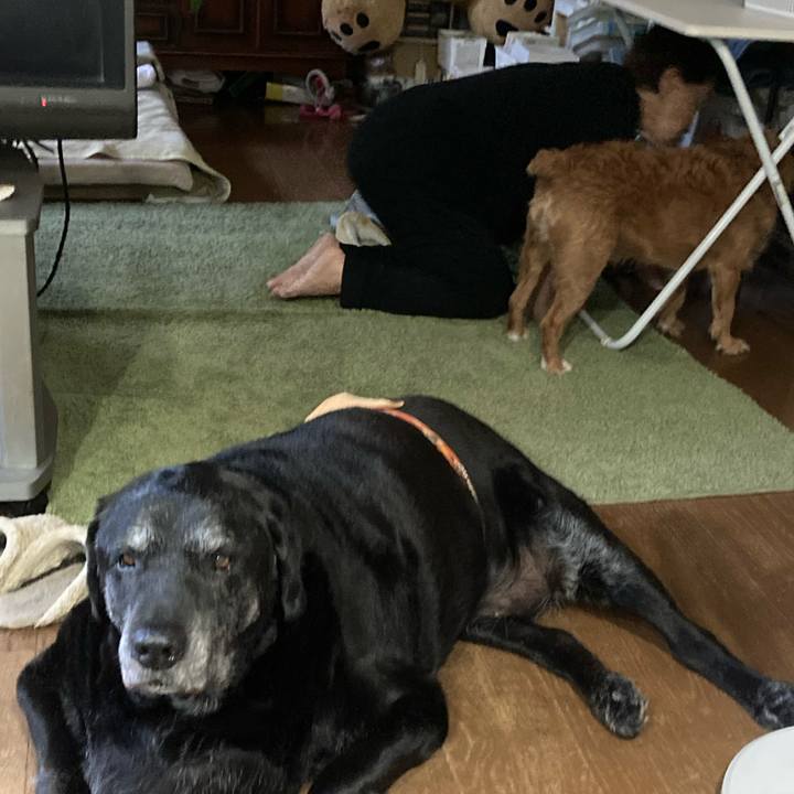 E0434f08 cdf0 4511 a88a b3d6c62a41a0 1684757695741