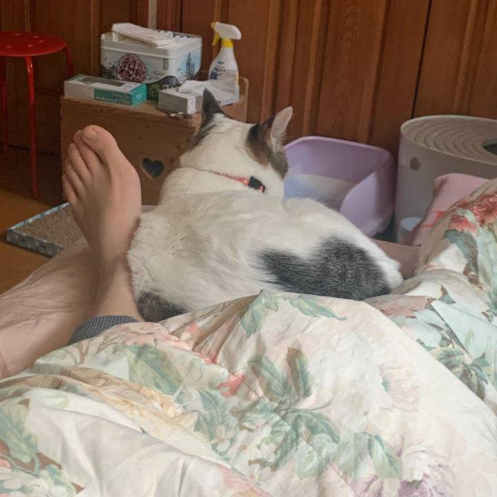 E0435451 8fbd 43ea ad36 6407b4da9c74 1587420692842