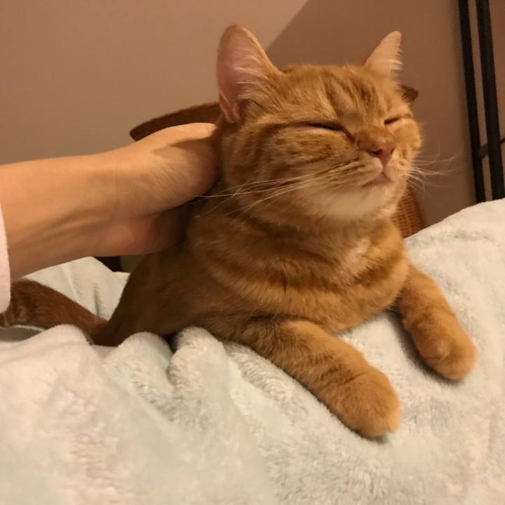 E04359a3 bc73 4f92 abcb bbfa674610b4 1511875737976