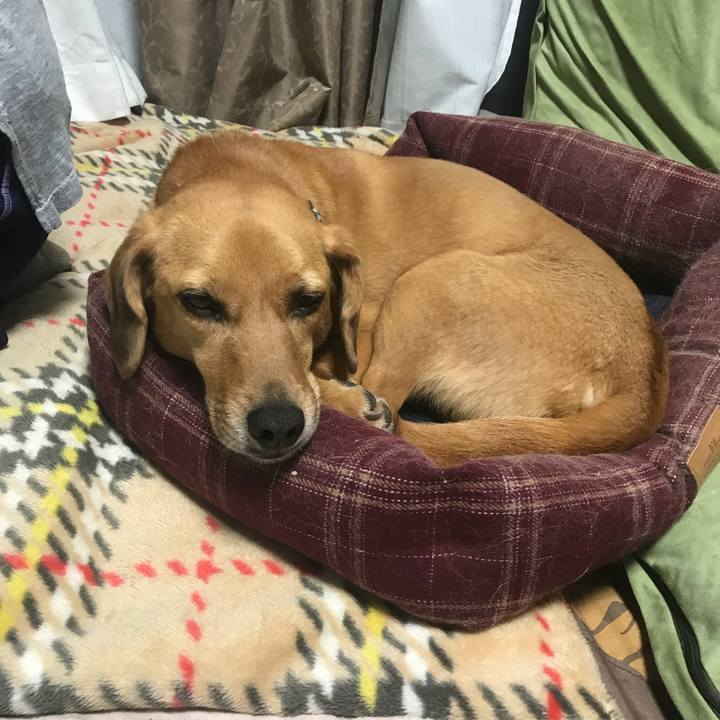 E0438572 908d 4a15 8bb7 523fbae51a7c 1527951943623