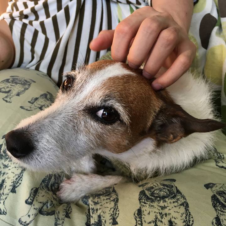 E0439ad8 785e 43a5 95fb 0cf539dc6c9b 1611617977595