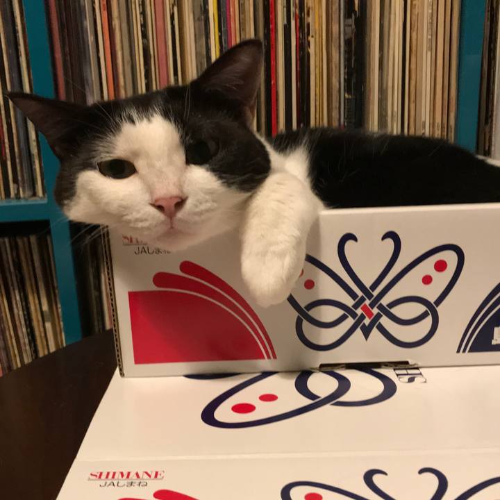 E043dc0e 6946 461a 963c 0419ed561286 1562584518982