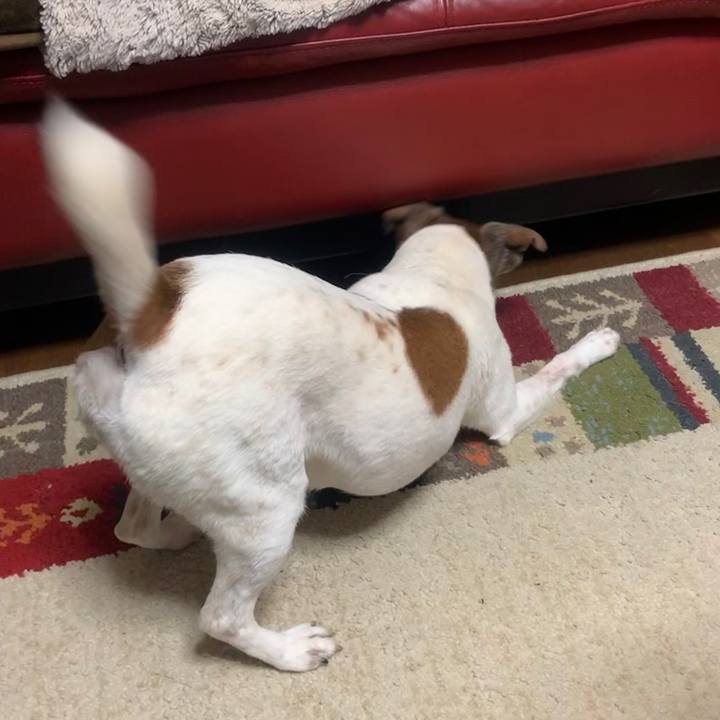 E043f3a6 335b 401d 947f 2a71eb27007e 1556765116372