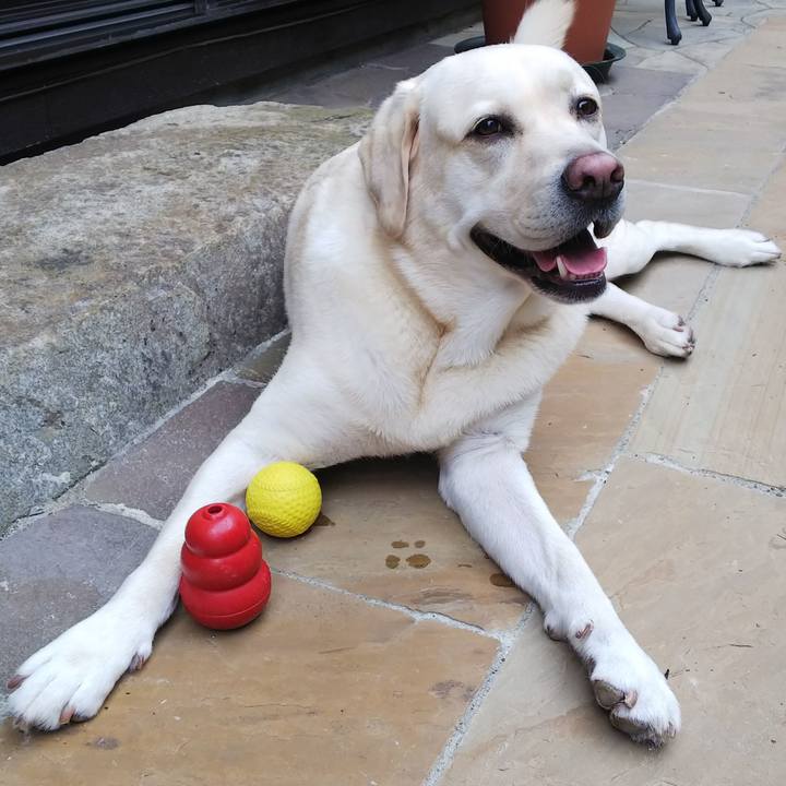 E043fa9c 2958 474d b2da b3e9584e4990 1567575679770