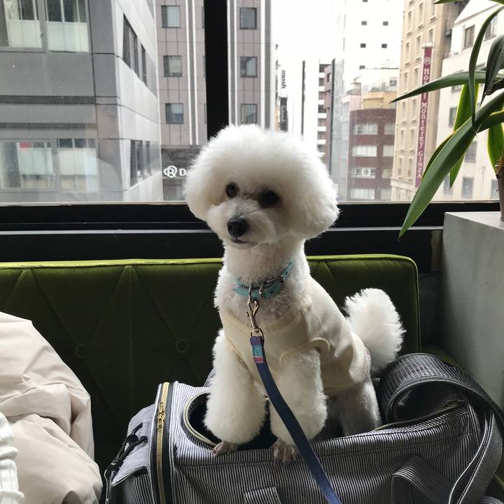 E0440737 68a0 4340 b1bc 2eaae390e857 1510387506317