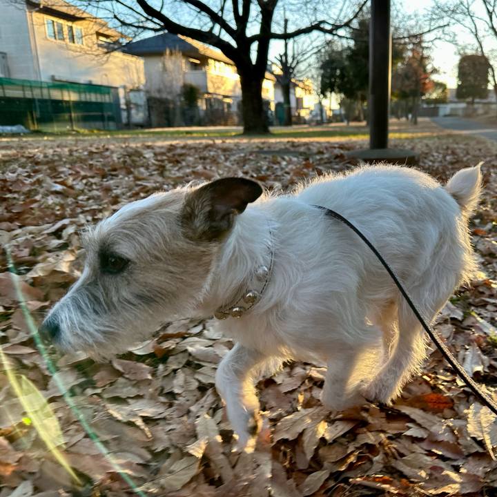 E04412ce 70ca 4624 bf85 119972c00476 1737122496616