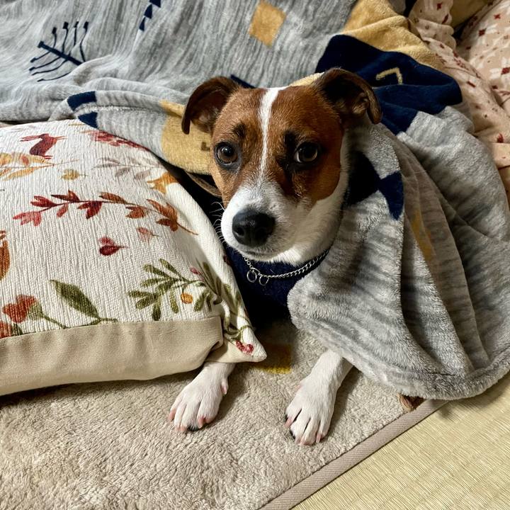 E0441b18 50f9 4bac 84bc 25cbb95bdfcc 1642143946666