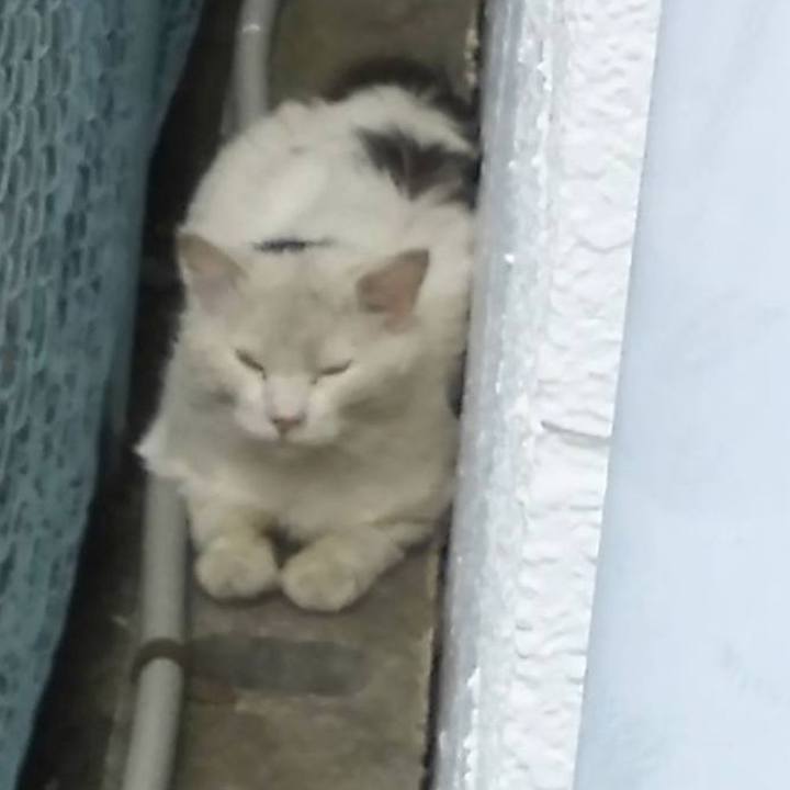 E0445bad eb50 49ca a883 8e87b08598ed 1558938449771