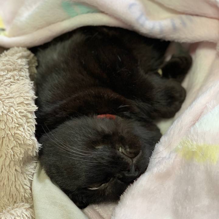 E0446ae2 9b5d 41e4 ae7c 1f1823d3a7ec 1563752567537