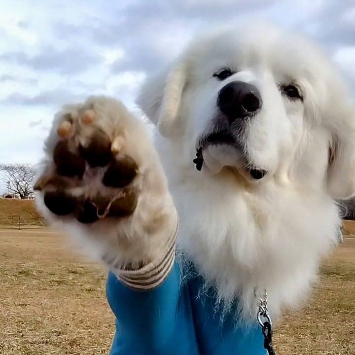 E044769f a607 4a4c b116 cf6cf1eb21c3 1671596754163