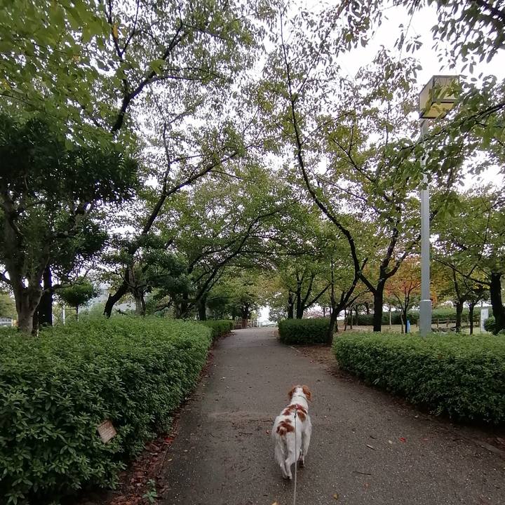 E04490fb 5a12 45b2 a008 bc9dd6be7757 1572336913391