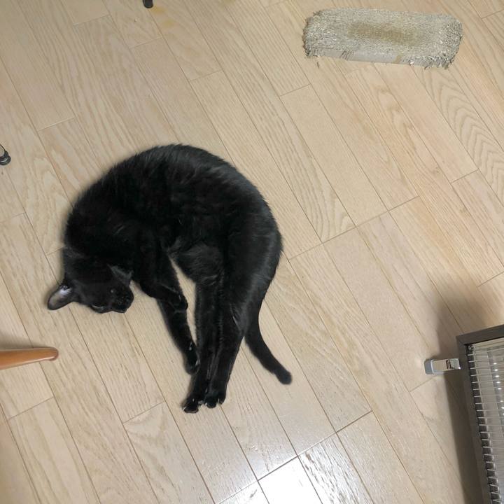 E044bee5 1822 4094 b402 eb44d6c46559 1639992050314