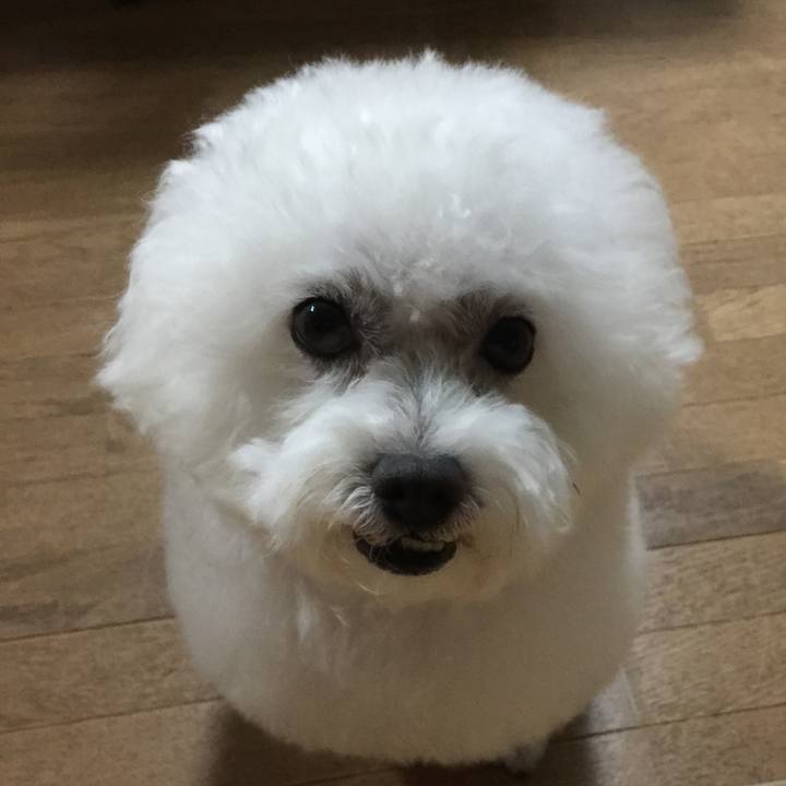 E044e51c b79a 4285 9f0c 7a5215a3c119 1534505362260