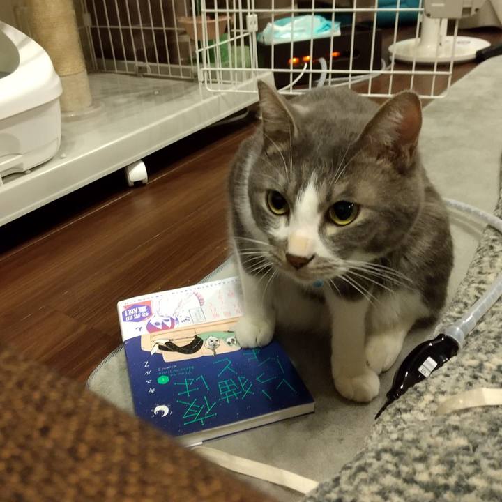 E044e6cd 0511 447e a8e4 891d46a3f92a 1609936085296