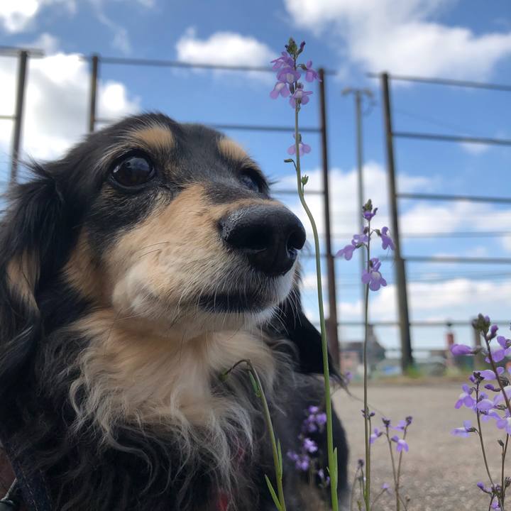 E044f523 1d0f 46c8 bf73 66c51d2283c9 1617753492614