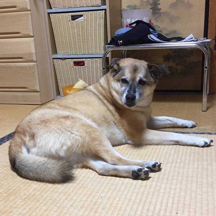 E0450820 f865 4b0e 88ee 60d92f694866 1571312066145