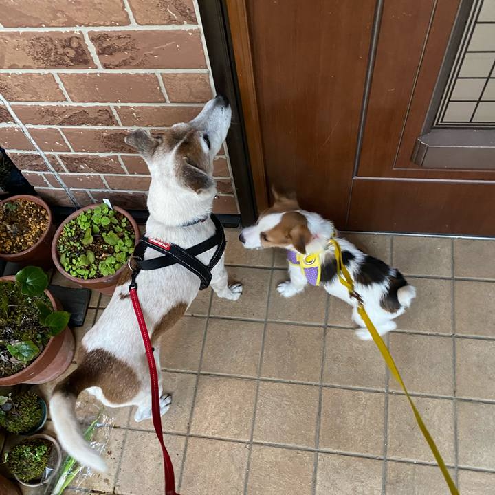 E04518f4 b6c1 4147 a442 e849029983db 1612525291283