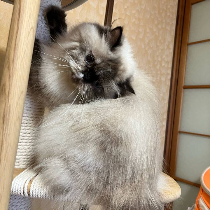 E045301b 48c4 4a81 a052 92b26212c198 1726111294164