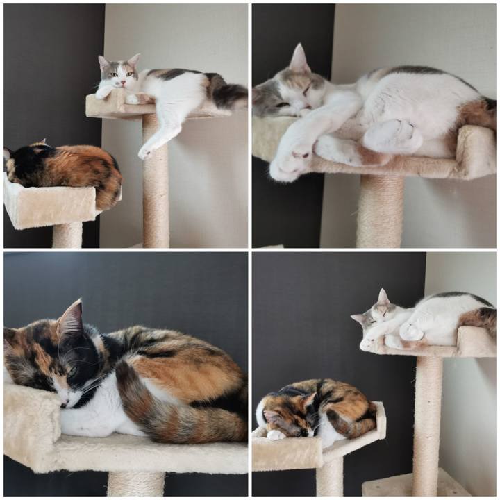 E04545eb f58a 4f0f b1eb cb02ef4f2f2b 1655782628241