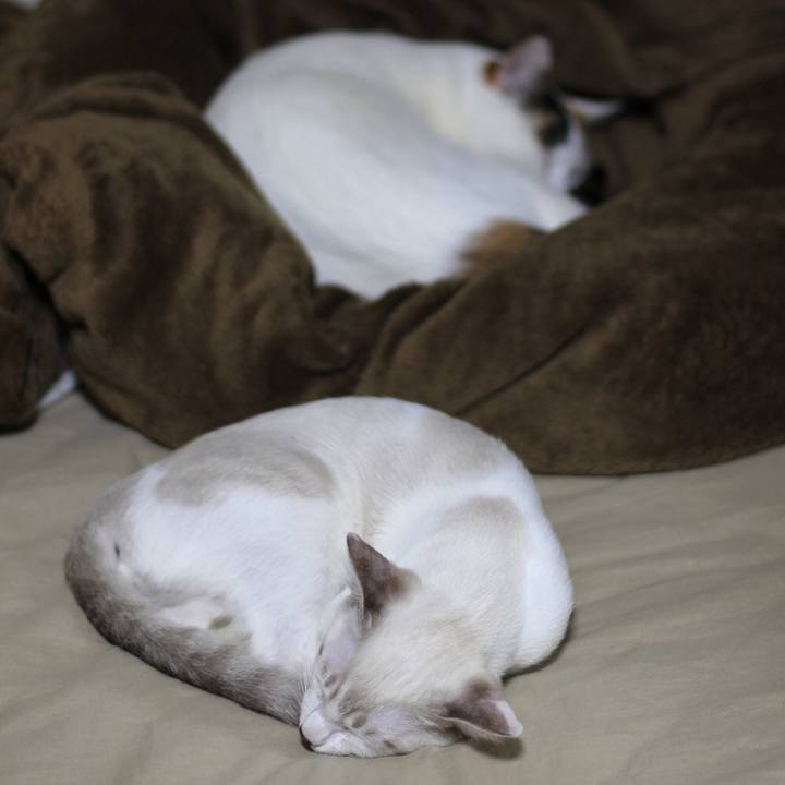 E0454641 585d 42f9 be54 7d18a5ce1434 1607919069464