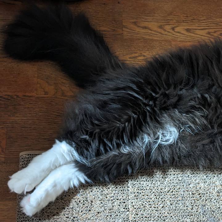 E0455779 e2ab 4e5e bacc 66b8bb34f7e7 1692758602712