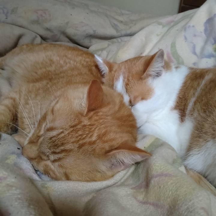 E0456733 8d4d 4b6a 9245 3774baedf3b1 1761977469864