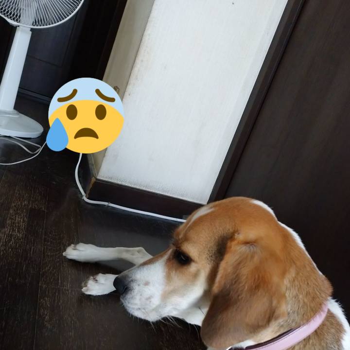 E0457465 01cb 49a8 8cd2 1db879540518 1596601017039