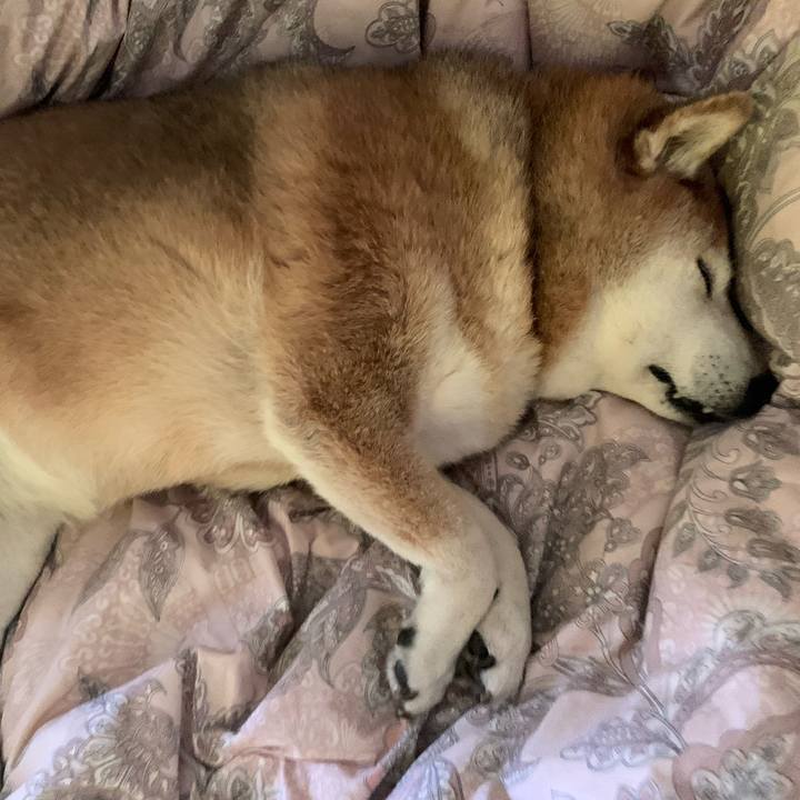 E045793c 747d 444c b476 e6ab2b8ab916 1586570696184