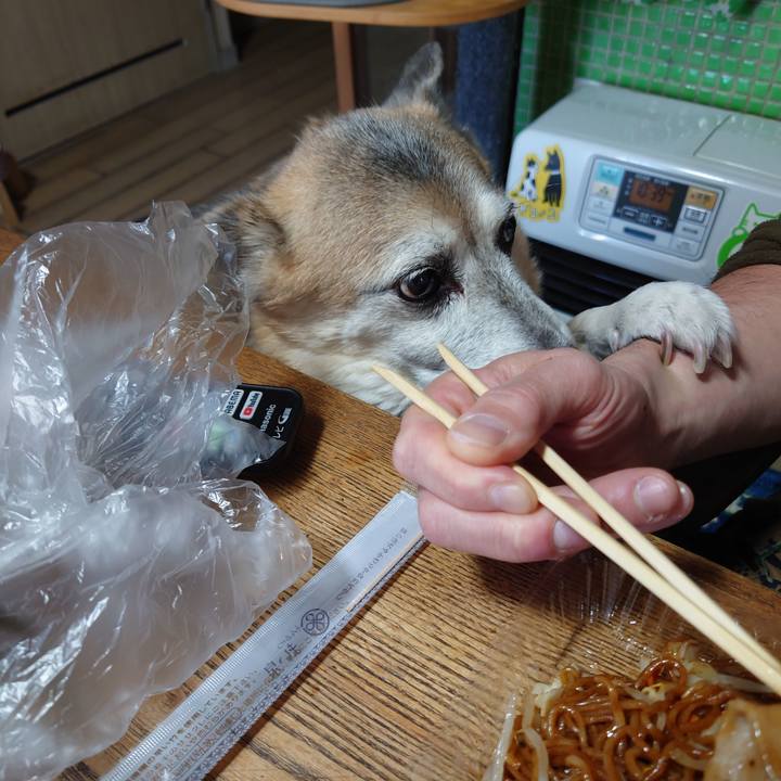 E045e744 15a1 4a85 bdb8 c951c5cf2db8 1702172866915