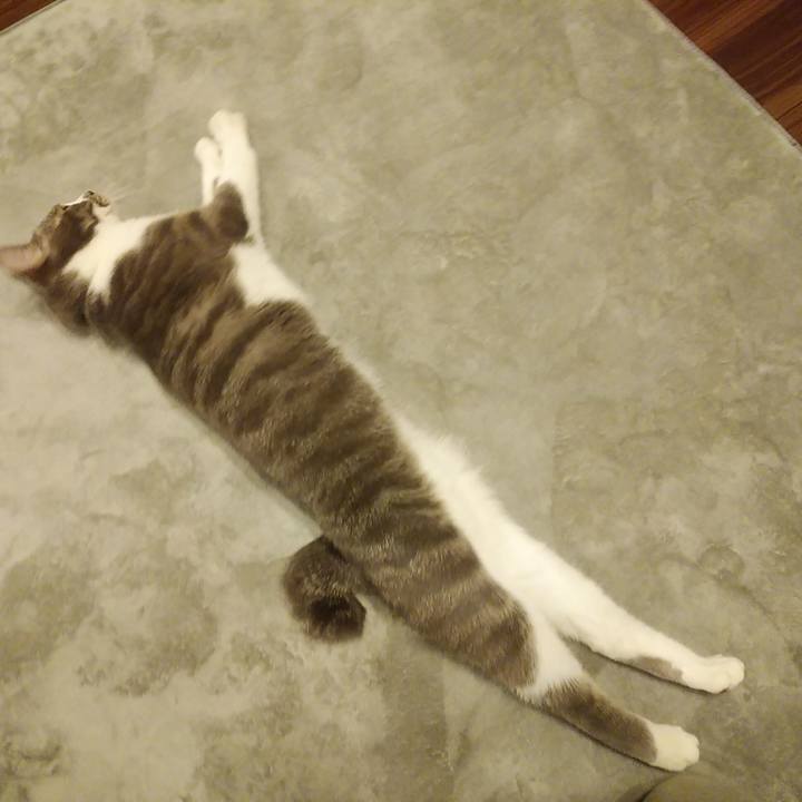 E045e769 63c4 4d91 9f6f dcfc43e00246 1588330395027