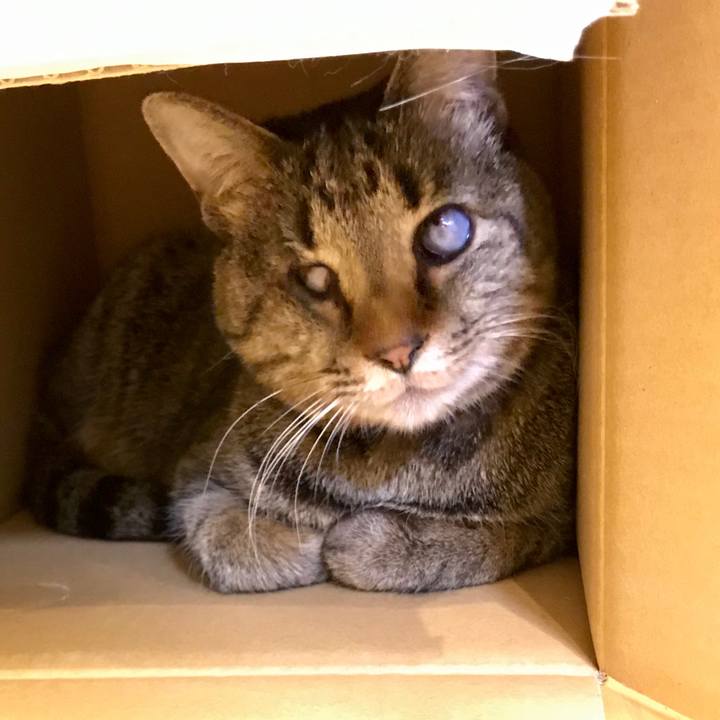 E045ea78 c9d2 4934 a60e a691734c6296 1550797606102