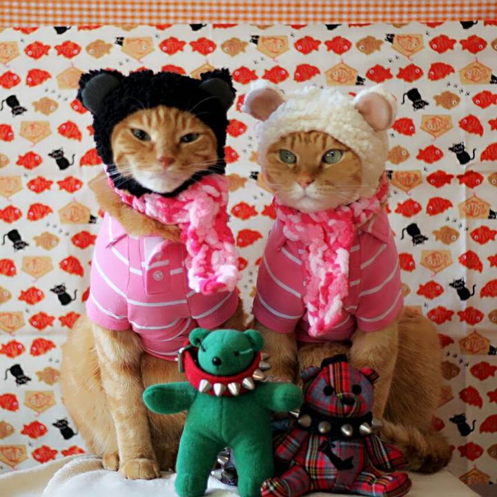 E0463651 37e6 476b 8386 206d8fd65137 1514352421601