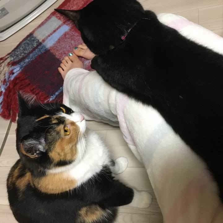 E0465c07 e7a5 4f89 990e 8045944ab521 1518173709934