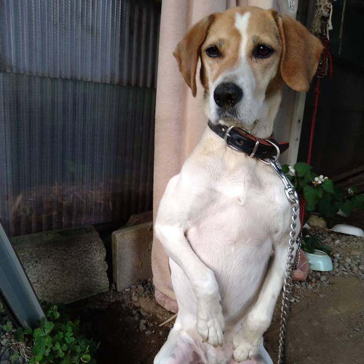 E046a225 e08d 4091 a408 4b169106aedd 1654690230928