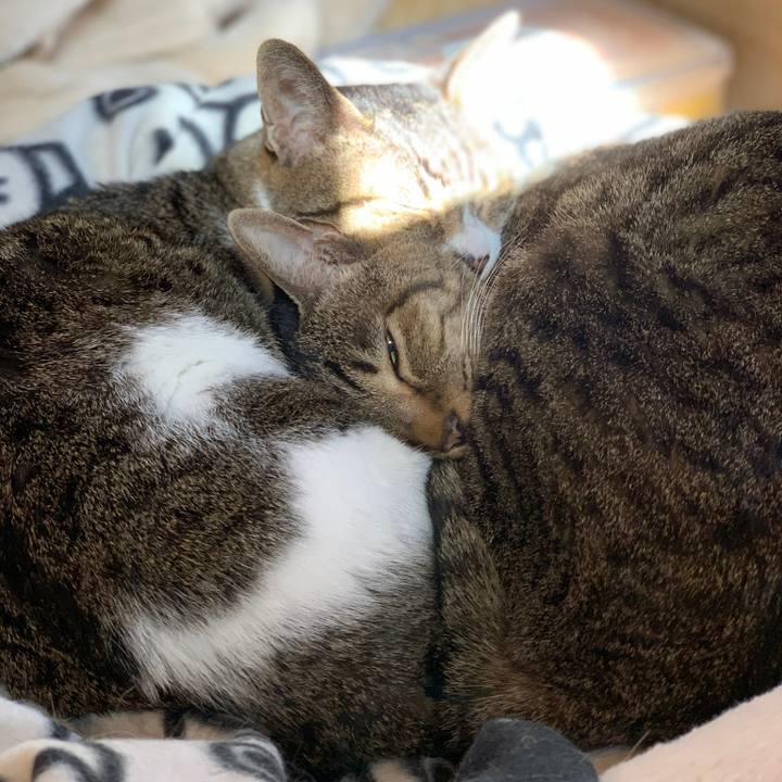 E046bf2f 304b 4841 8796 dac7a9e4227d 1573780322373