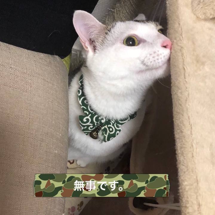 E046d576 30f6 472c 803b 21b23ab61f91 1529277567573