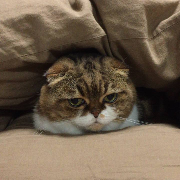 E046e616 d851 45ac a496 432357ec4035 1508453583800