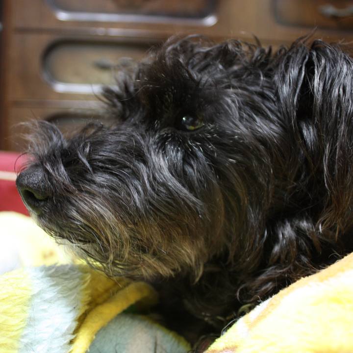 E047239f 77dd 4c2d 85bb 95e96d47350d 1514941785669