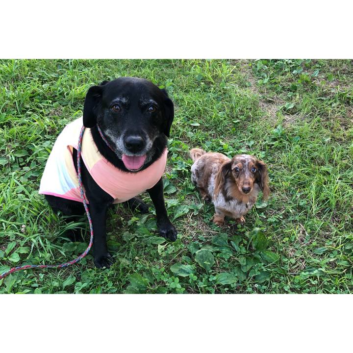 E0472600 a93f 4231 9b9c a144b3288636 1596553663146