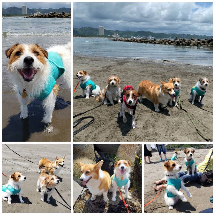 E0472cb4 6d3b 46be b23b 96c84a6bb62f 1592750271694