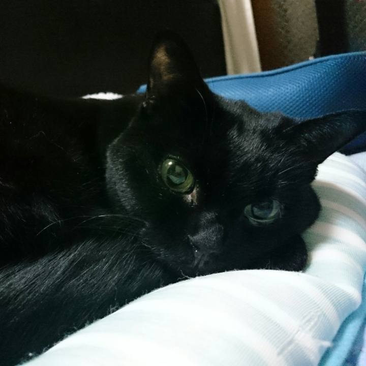 E0475073 5e1f 4a7d 9e0a 4b5dfa86cea5 1510190292633