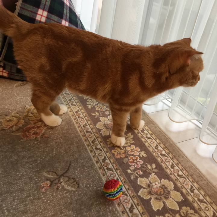 E047c9a5 1818 4827 8067 2847d14f6f7b 1521763851882