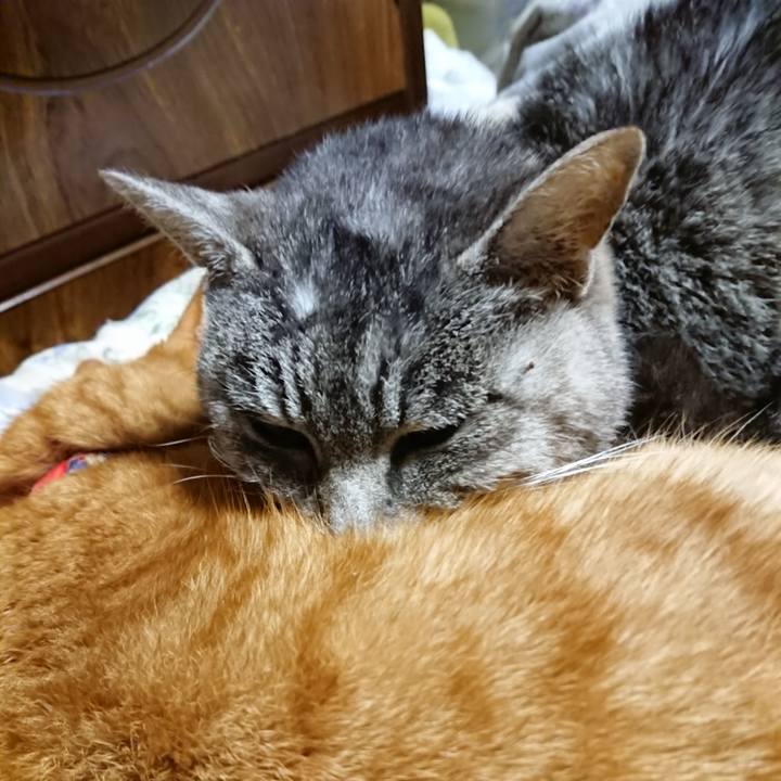 E047e68a 99ab 4ad9 83ae 380b27182d3b 1579002243392