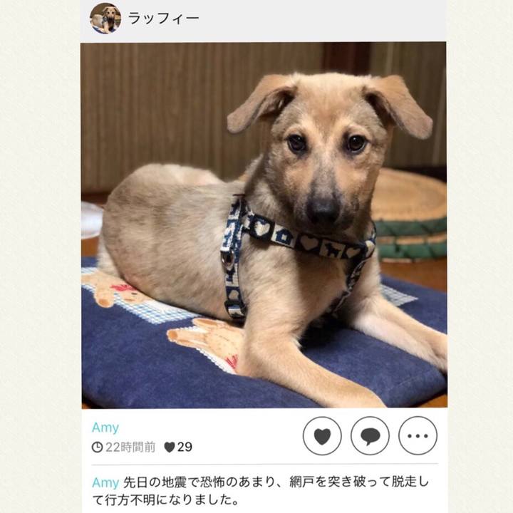 E04809c2 fe15 4b9d 8061 9ac2662b53e8 1529575969156