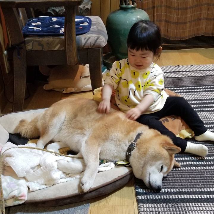 E04837ee 4da9 403a aed8 e2ebc630e172 1651225602516