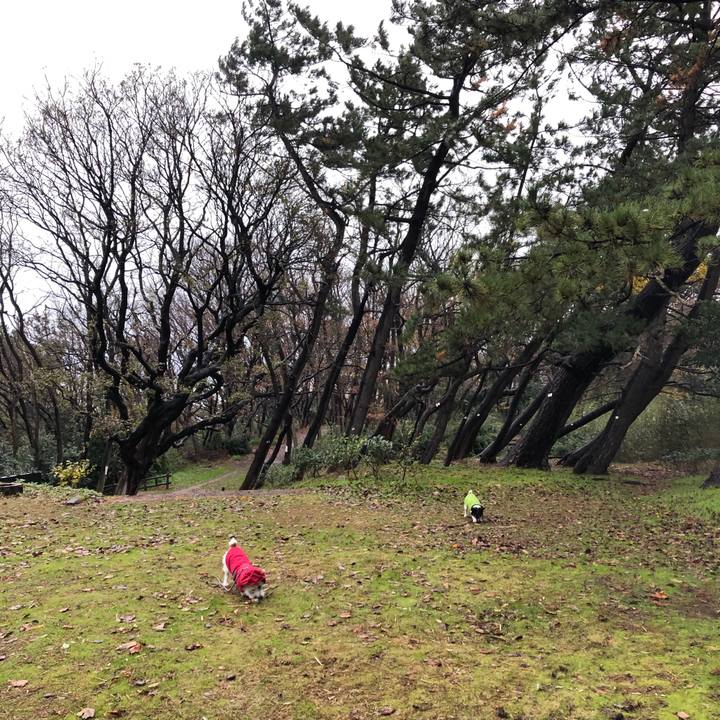 E0483a1e 5510 40e6 a0a4 99094247fc84 1575590191919